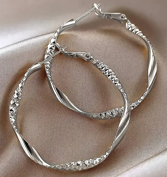 Delicate Twisted Circle Design Hoop Earrings Iron Jewelry Elegant