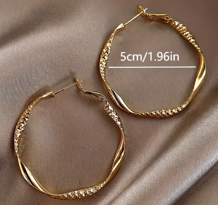 Delicate Twisted Circle Design Hoop Earrings Iron Jewelry Elegant